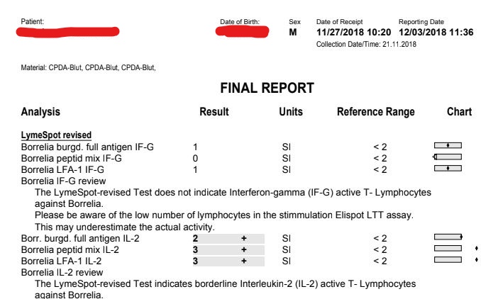 Borrelia Analisis Actual.jpg